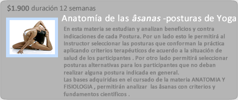 Anatomía